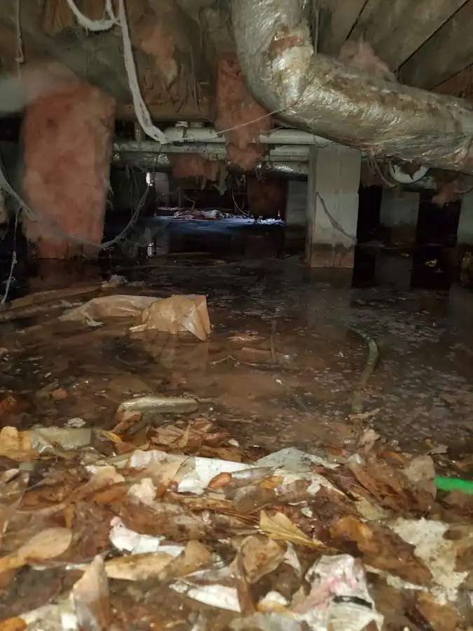 Crawl space flood assessment for Leak Detection & Repair in North Union