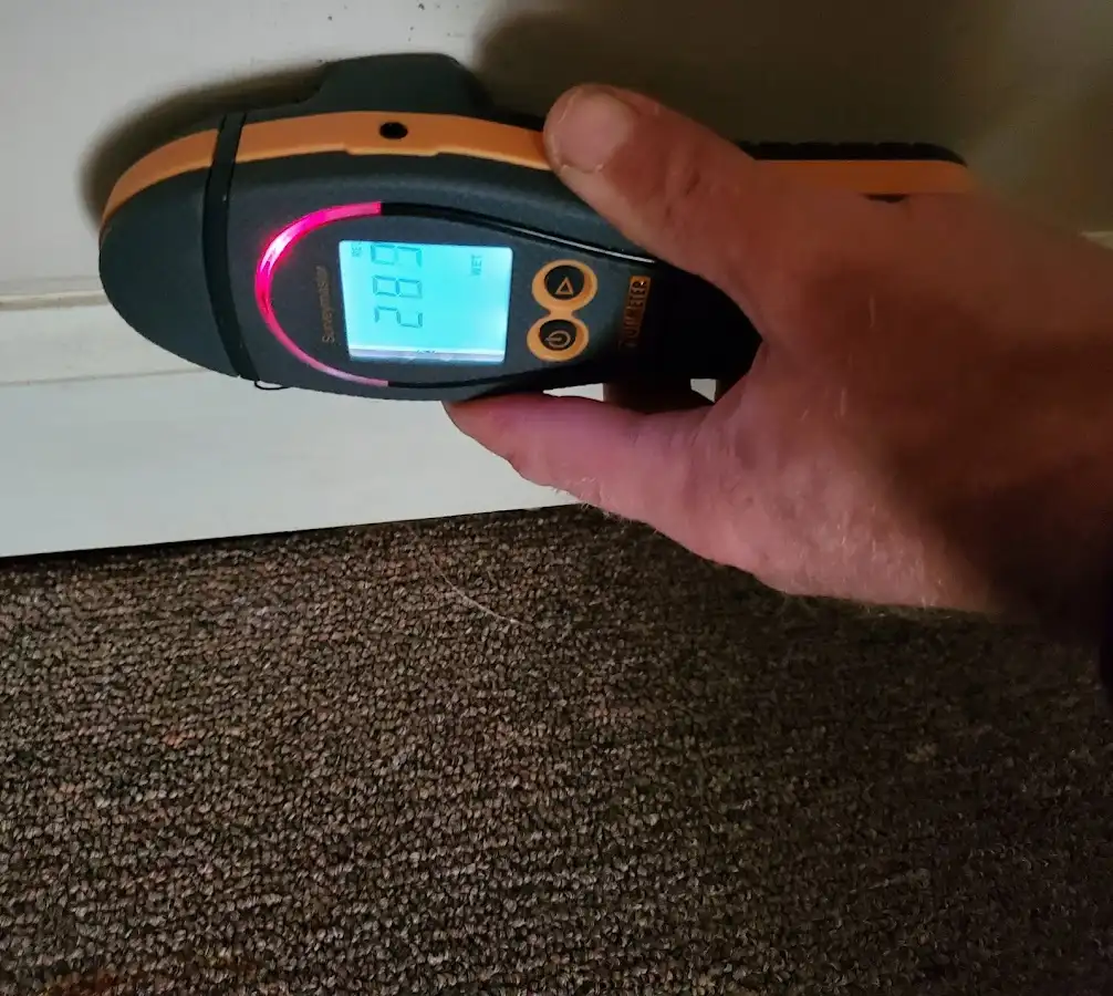Moisture detection at baseboard during Sewage Cleanup & Sanitation in North Union
